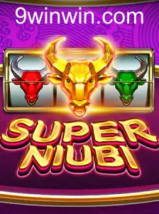 SuperNiubi